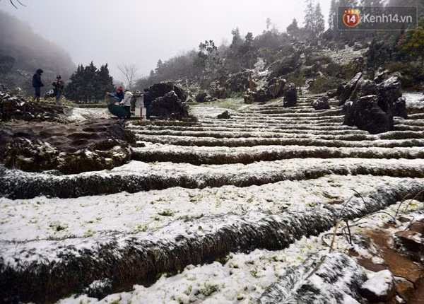 越南北部遭遇罕见低温寒冷天气多地首次下雪 ảnh 1