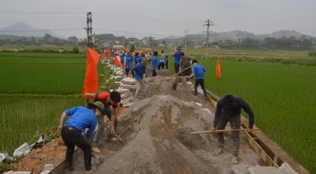 春天来到抗战首都宣光 ảnh 1