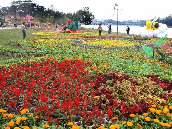 2015年第六次大叻花卉节：大叻市共接待游客50万人次 ảnh 1