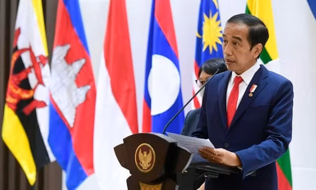 印尼与柬埔寨促进卫生、经济、投资和防务等领域的合作 ảnh 1