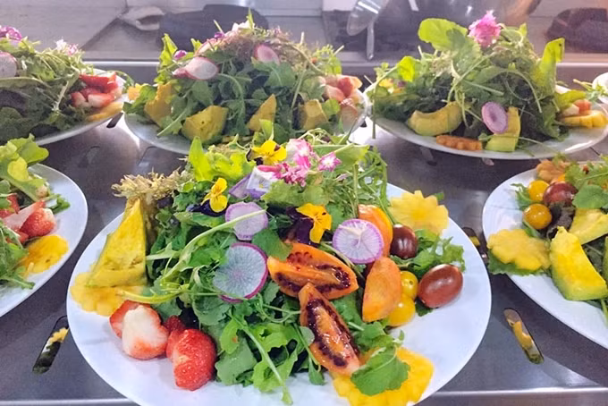 以大叻市蔬菜及鲜花为食料的100道佳肴即将亮相 ảnh 1 以大叻市蔬菜及鲜花为食料的100道佳肴即将亮相 ảnh 1