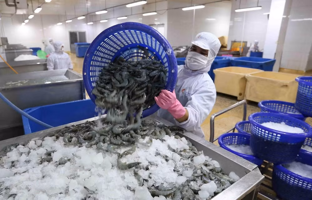 金瓯省:2021年第一季度经济社会发展成就亮点纷呈 ảnh 1 金瓯省:2021年第一季度经济社会发展成就亮点纷呈 ảnh 1