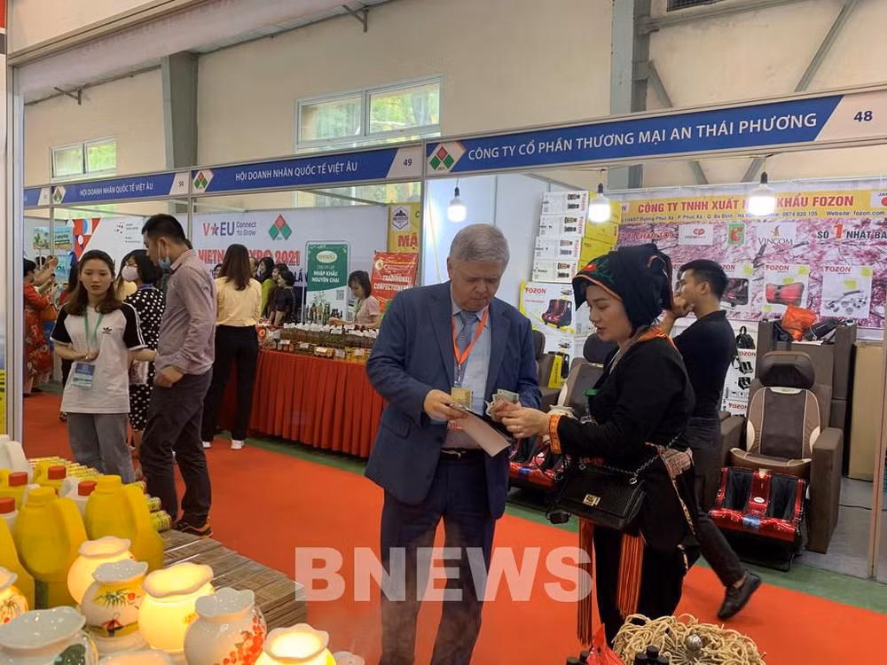 Vietnam Expo 2021：数字纪元中与企业同行 ảnh 1