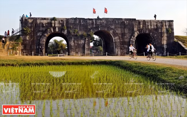 清化省胡朝石城遗产 ảnh 1