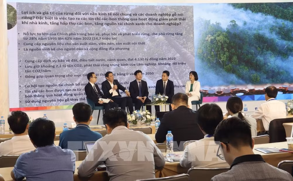 碳金融和越南木材产业的机遇 ảnh 1