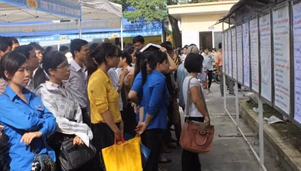 同奈省各家企业每个月新招聘劳动者5000名 ảnh 1