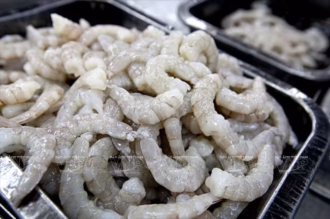 沿海经济发展公司 ảnh 3