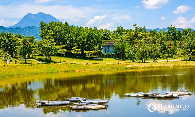 2017年森林艺术节开幕 多国艺术家汇聚越南 ảnh 2