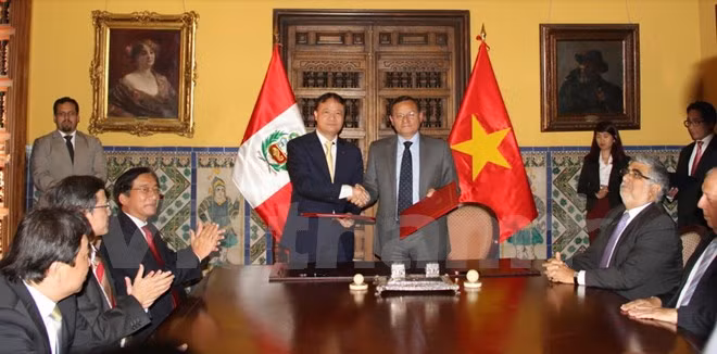 秘鲁与越南政府间经济与技术合作委员会第一次会议在秘鲁举行 ảnh 2