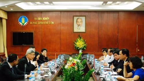 越南可能成为国际三方橡胶理事会成员 ảnh 1