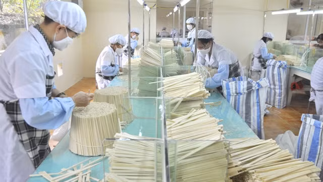 宣光省为近1.9万名劳动者提供就业岗位 ảnh 1