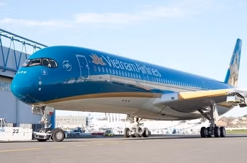 越航飞机在印度紧急降落 对乘客进行急救 ảnh 1