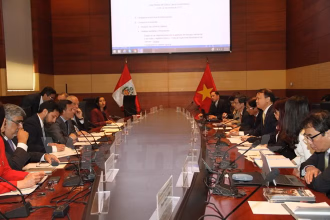 秘鲁与越南政府间经济与技术合作委员会第一次会议在秘鲁举行 ảnh 1