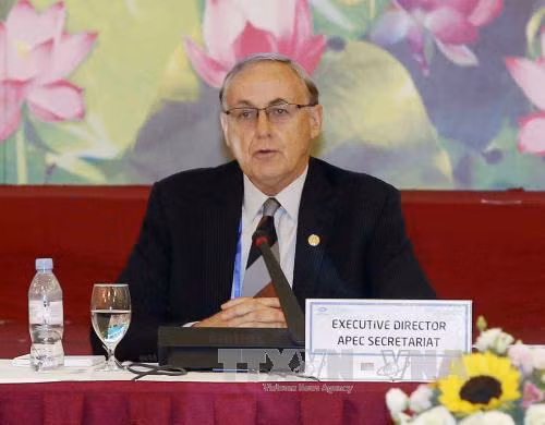 亚太经合组织秘书处执行长：越南为引领APEC的未来作出贡献 ảnh 1
