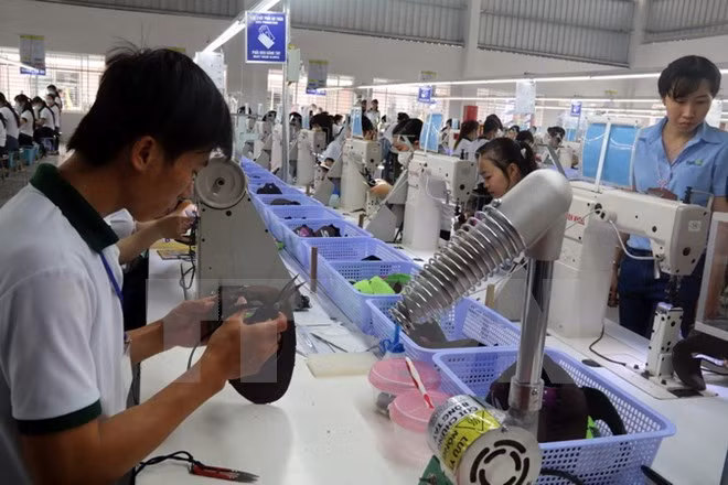 越南企业和企业家与国家一道融入世界 ảnh 1