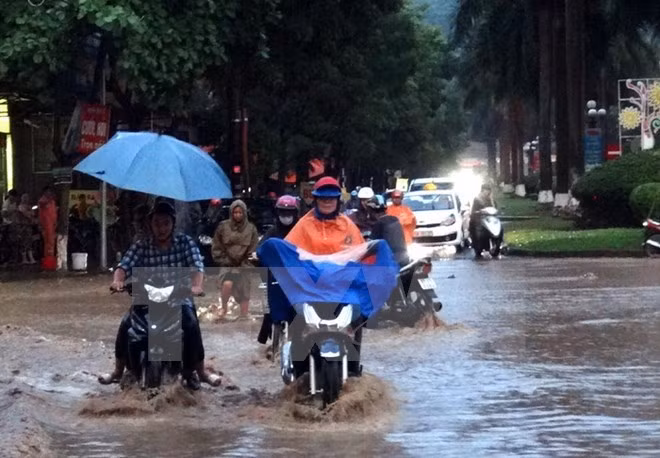越南北部和北中部地区遭遇暴雨致至少7人死亡 ảnh 1