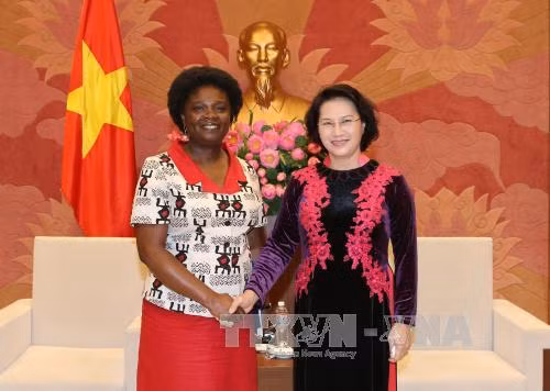 越南国会主席阮氏金银会见世行驻越首席代表维多利亚·克瓦 ảnh 1 越南国会主席阮氏金银会见世行驻越首席代表维多利亚·克瓦 ảnh 1