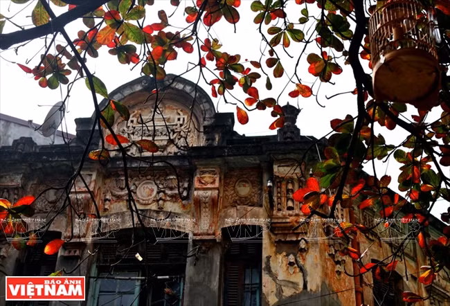 千年古都展新颜（组图） ảnh 10