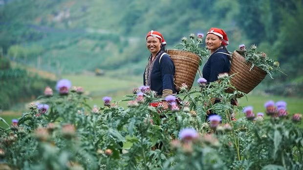 助力少数民族妇女就业创业 促进性别平等 ảnh 1