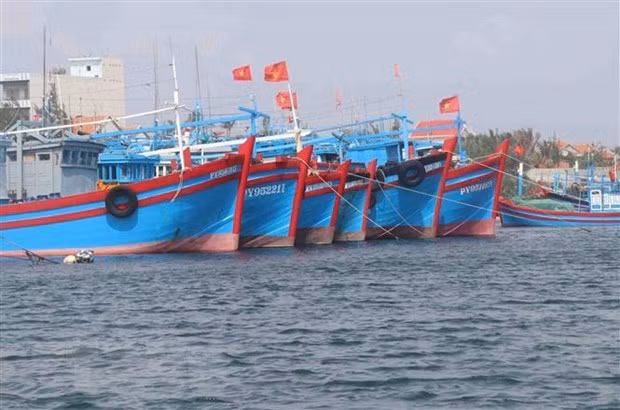 解除IUU黄牌警告：建设负责任和可持续发展的渔业 ảnh 1