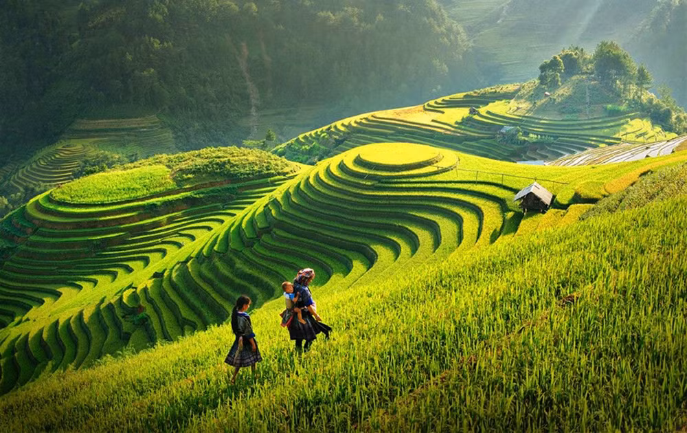 2021-2030年阶段少数民族地区和山区经济社会发展国家目标计划获批 ảnh 1