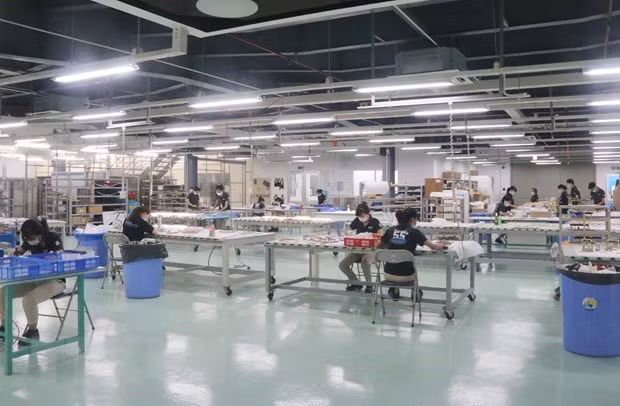 简化手续帮助受疫情影响的劳动者和企业享受扶助政策 ảnh 1