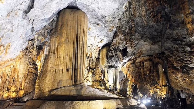 越南力争将生态旅游与生物多样性保护相结合 ảnh 1