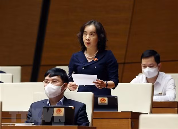 法语国家对越南妇女予以高度评价 ảnh 1