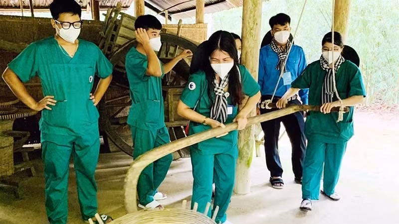 越南提高旅游企业的适应能力 ảnh 1
