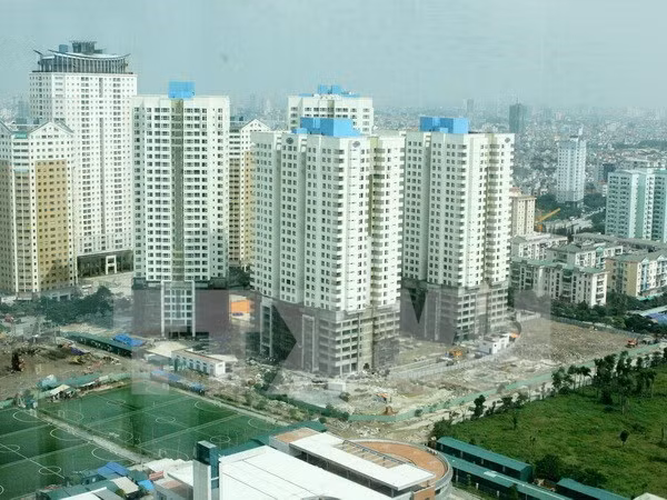 越南在法国推介革新开放事业所取得的成就 ảnh 1