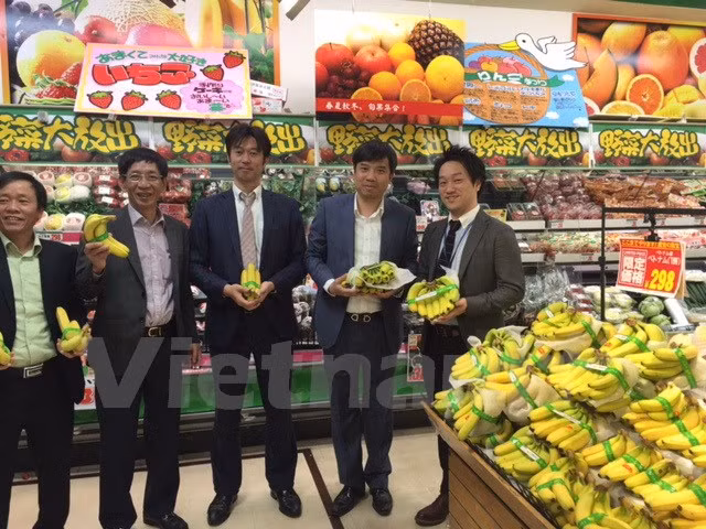 越南香蕉在日本受到好评 ảnh 1