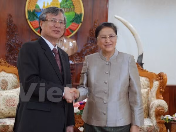 老挝国会主席巴妮·雅陶都会见越共中央检查委员会主任陈国旺 ảnh 1