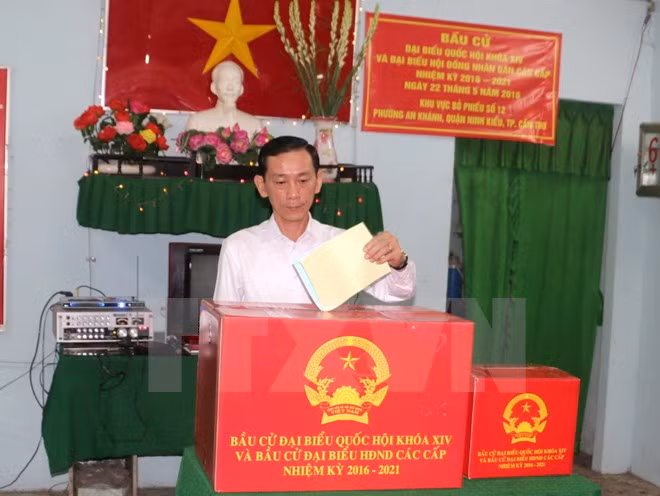 芹苴市等越南各地进行新一届国会和各级人民议会代表补选 ảnh 1