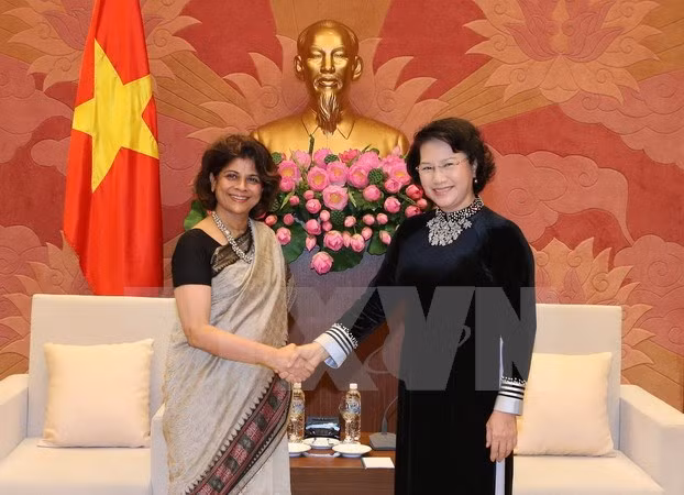 越南国会主席阮氏金银会见联合国常驻越南协调员普拉蒂巴·梅塔 ảnh 1