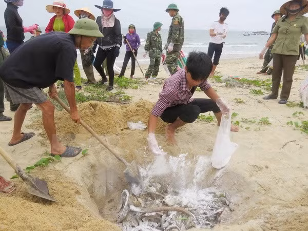 紧急援助受大批鱼群异常死亡事件影响民众 ảnh 1 紧急援助受大批鱼群异常死亡事件影响民众 ảnh 1