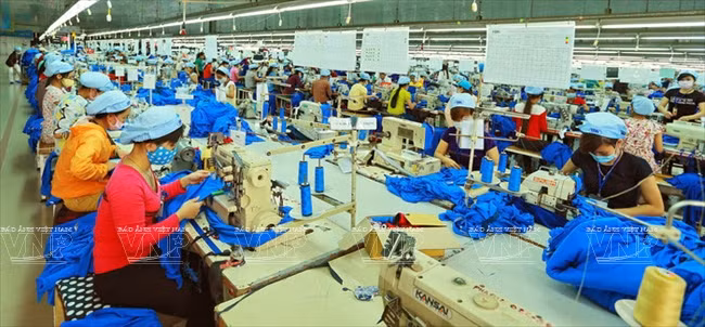 顺化纺织服装跻身国际大舞台 ảnh 6