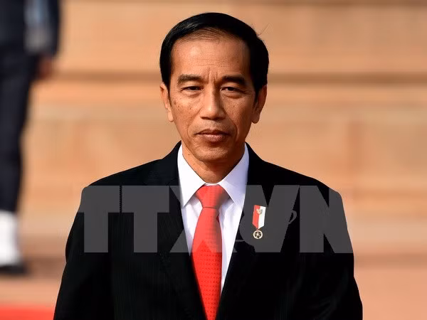 印度尼西亚总统佐科即将访问土耳其 ảnh 1