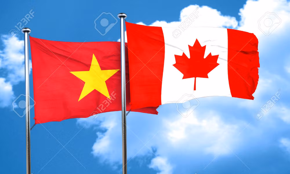 越南与加拿大举行首次政治磋商 ảnh 1