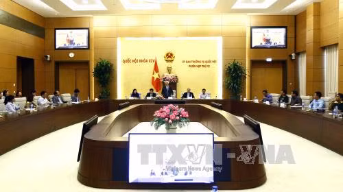 国会副主席汪周刘与老战兵模范代表团会面 ảnh 2