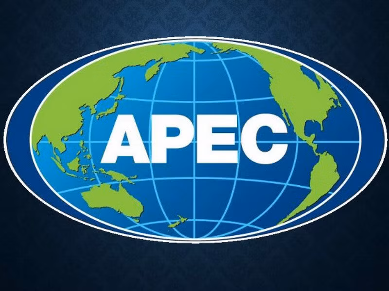 APEC需早日建立新的合作机制 实现旅游可持续发展 ảnh 1