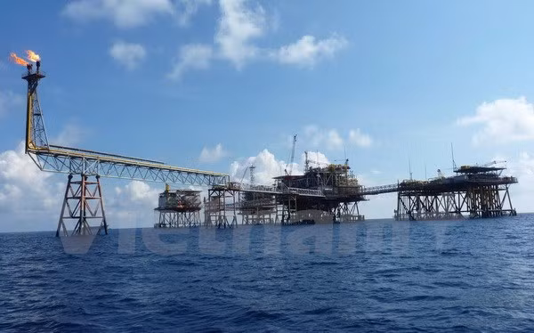 美国投资商投资资金继续流入越南 ảnh 5 美国投资商投资资金继续流入越南 ảnh 5