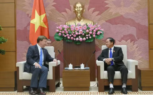 越南国会副主席杜伯巳会见美国众议院军事委员会代表团 ảnh 1 越南国会副主席杜伯巳会见美国众议院军事委员会代表团 ảnh 1