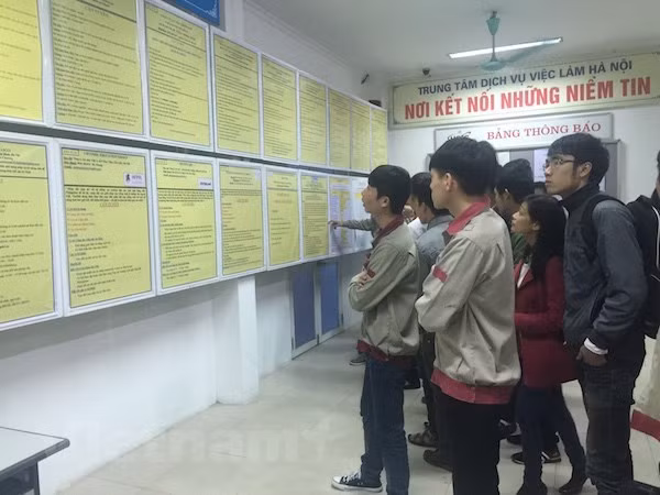 2019年劳务市场：为劳动者提供更多就业机会 ảnh 2