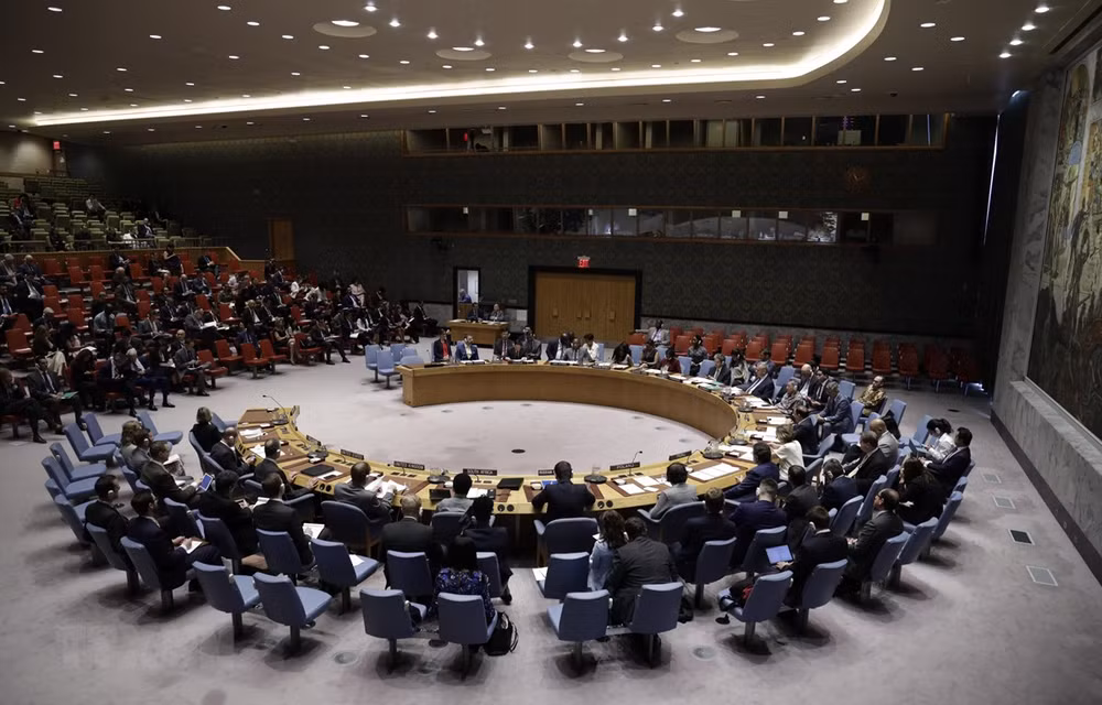 越南重返联合国安理会的第一天就任轮值主席国一职 ảnh 1