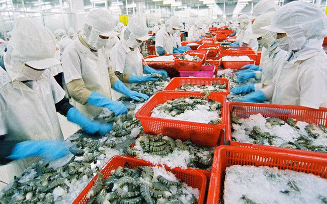 今年越南虾类产品出口额可下降4.4% ảnh 1