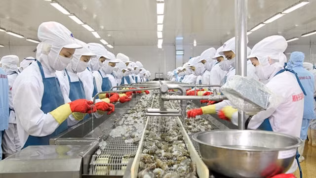 越南力争实现2020年水产品出口额达100亿美元的目标 ảnh 1