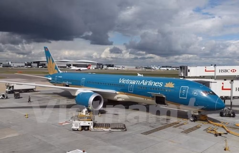 2019年越航年利润达近3.4万亿越盾 ảnh 1