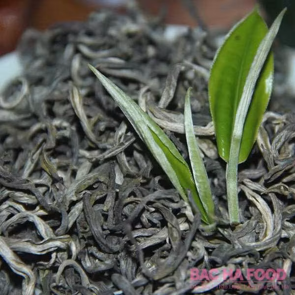 努力让越南山雪茶走向世界 ảnh 2