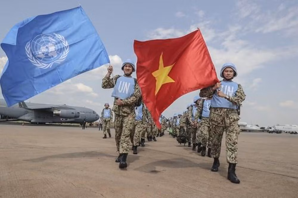 联合国期待越南成为联合国安理会活跃高效的非常任理事国 ảnh 1