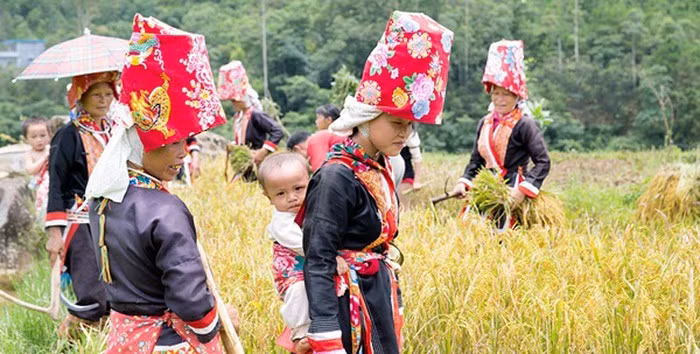 将性别平等问题纳入少数民族可持续发展计划 ảnh 1